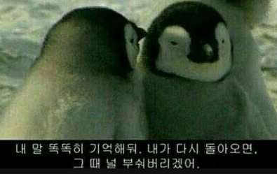 살롱드J 이미지