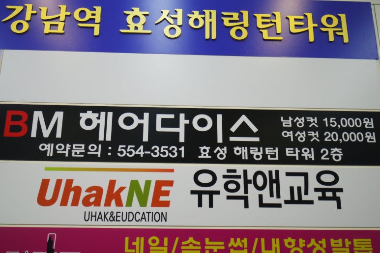 잉꼬헤어 이미지