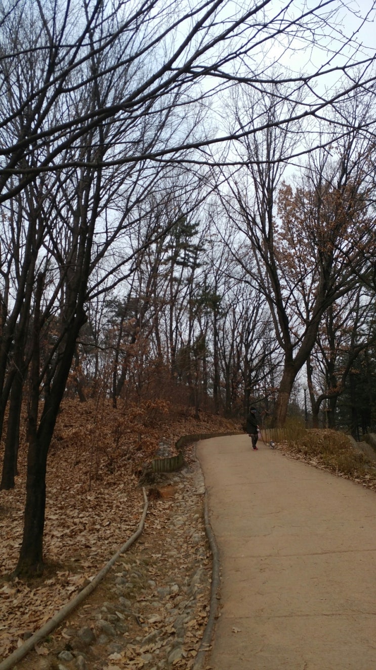 오금공원 유아숲체험원 이미지