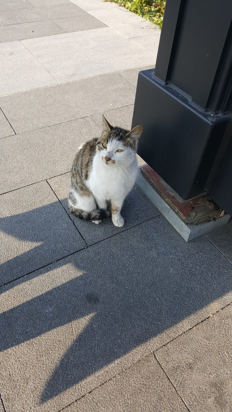 홍지랜드 이미지