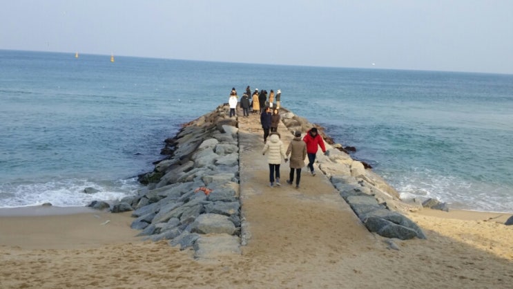 주문진 이미지