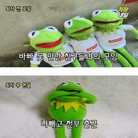 커밋 이미지