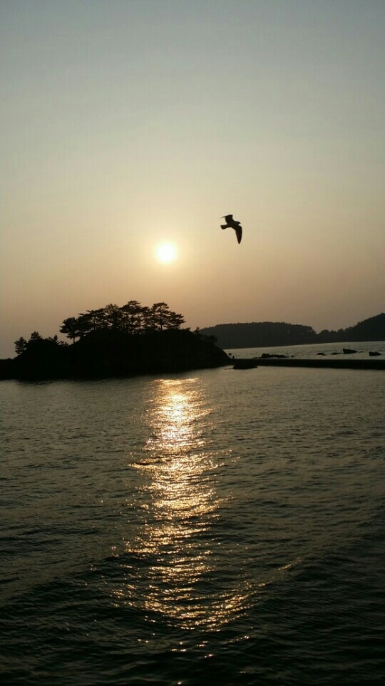청정바다횟집 이미지