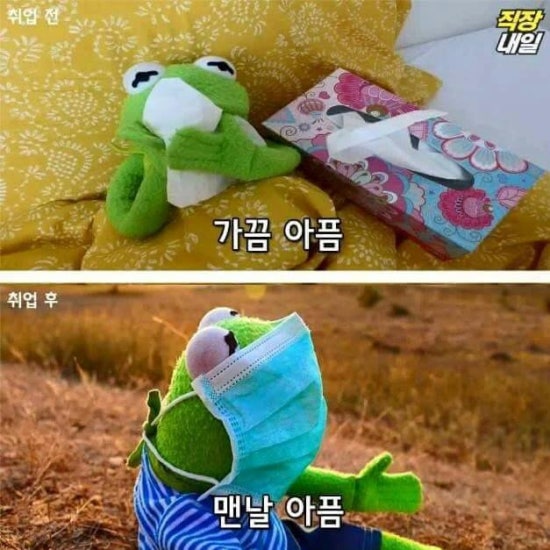 커밋 이미지