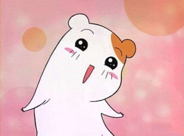 디비스토리 이미지