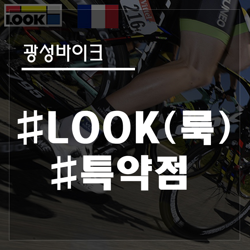 광성바이크 이미지