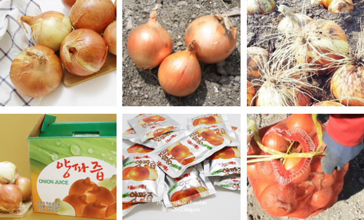 큰밭농원 이미지