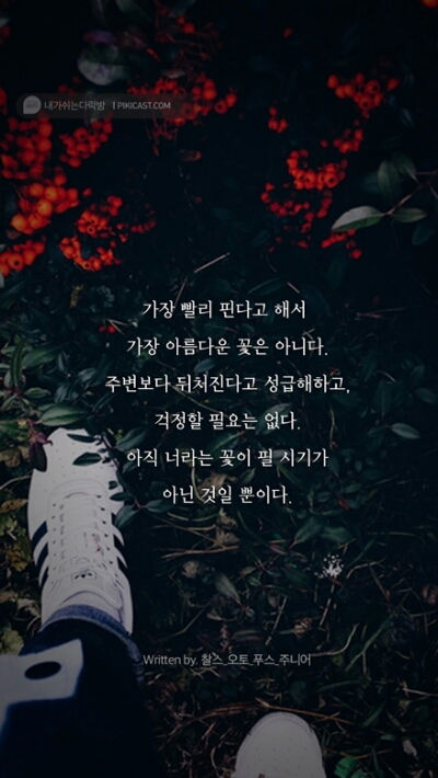 찰스오토 이미지