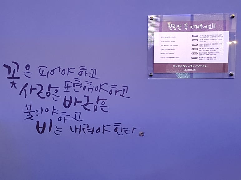 힐링보보하우스 이미지