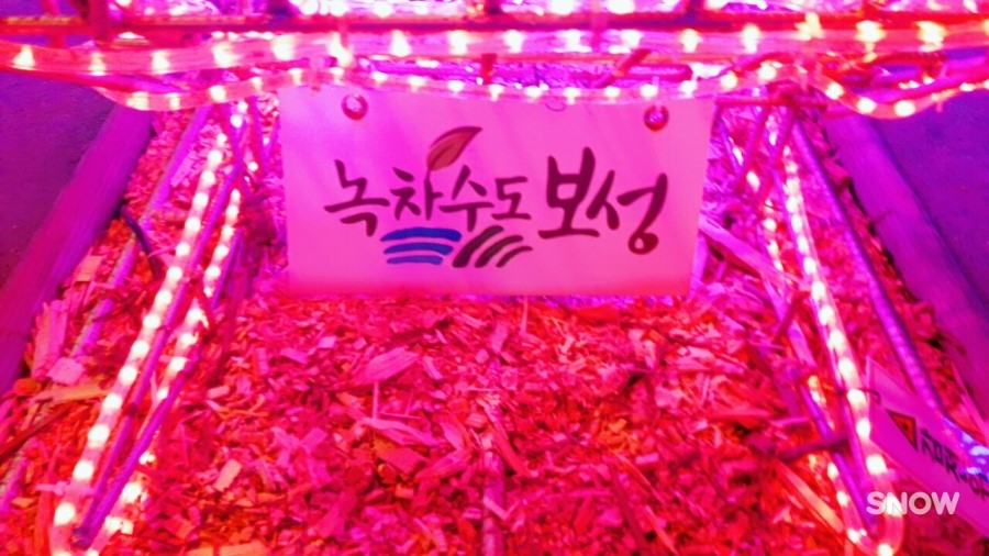 보성목욕탕 이미지