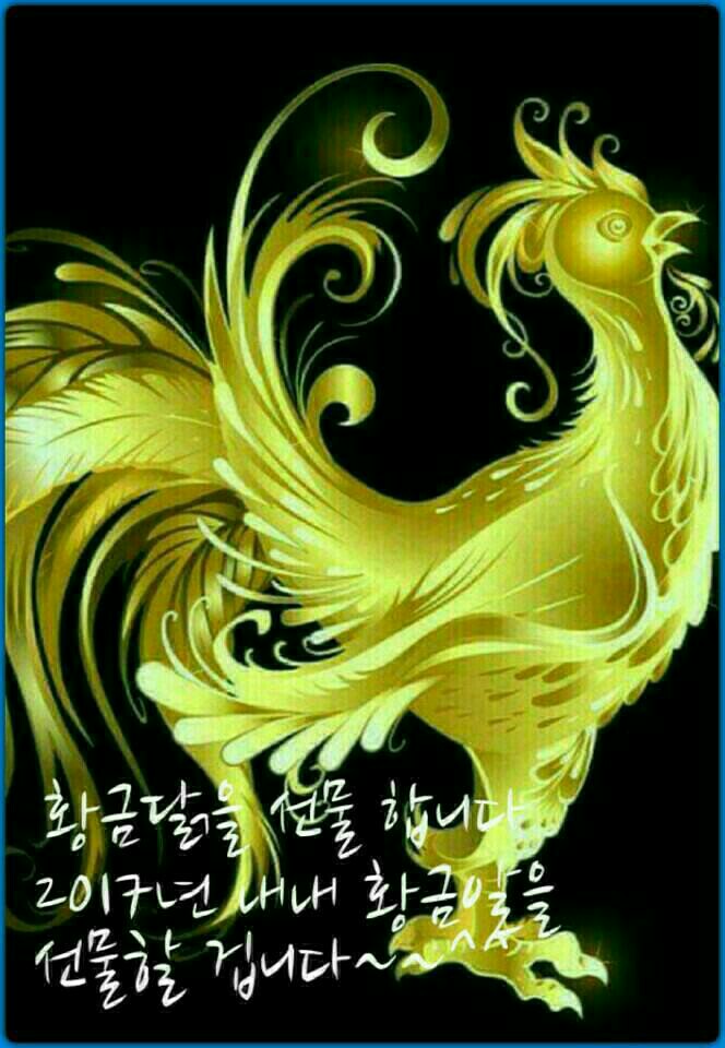 황금닭 이미지