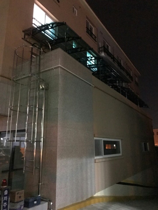 제주캐노픽스 이미지