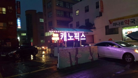 제주캐노픽스 이미지