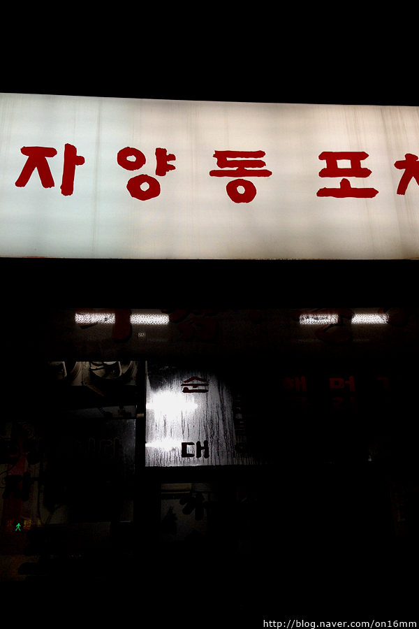 자양동포차 이미지