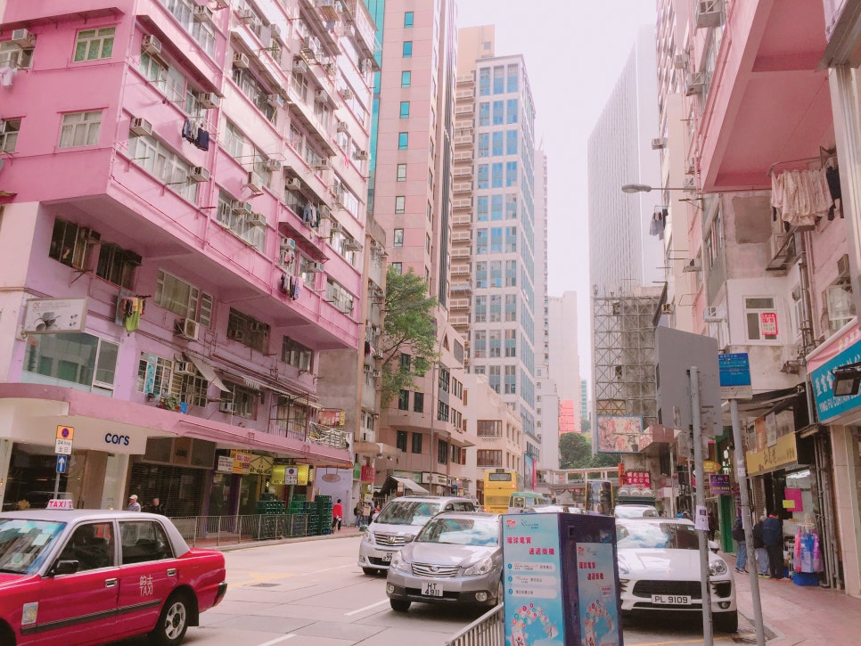 완차이 이미지