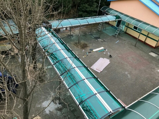 제주캐노픽스 이미지