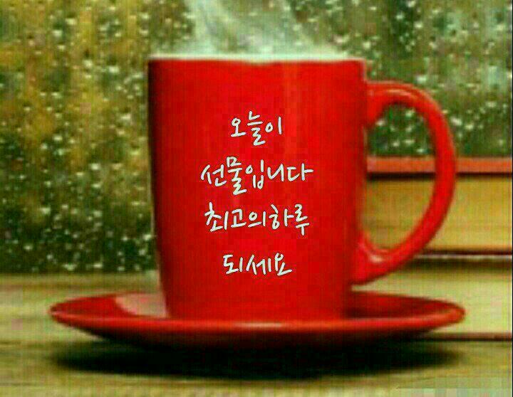 주당 실내포차 이미지