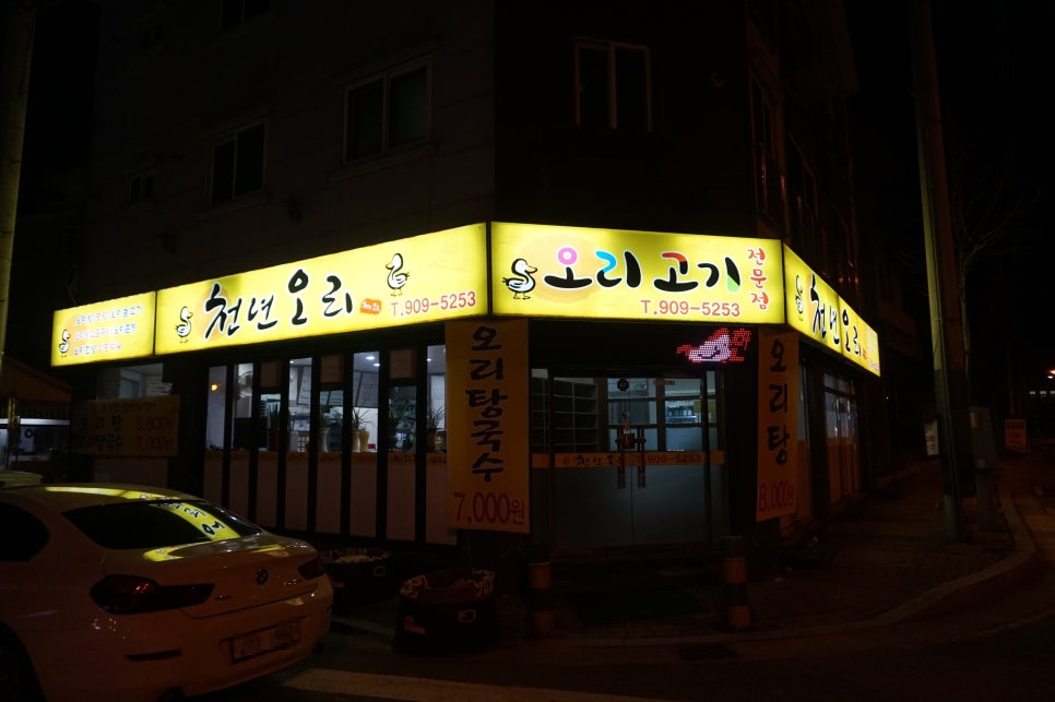 천년오리 이미지