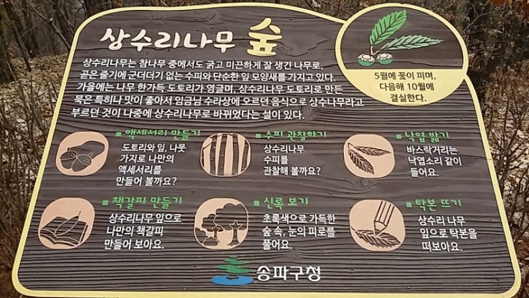 오금공원 유아숲체험원 이미지
