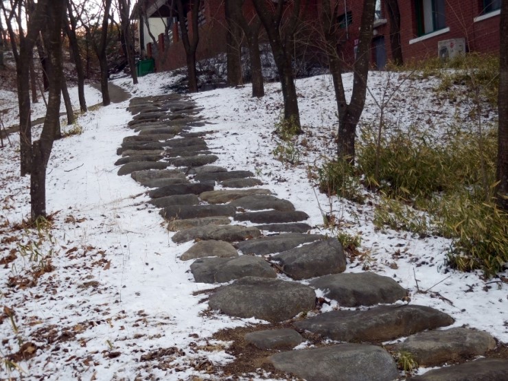 (사)녹색문화컨텐츠개발연구원 이미지