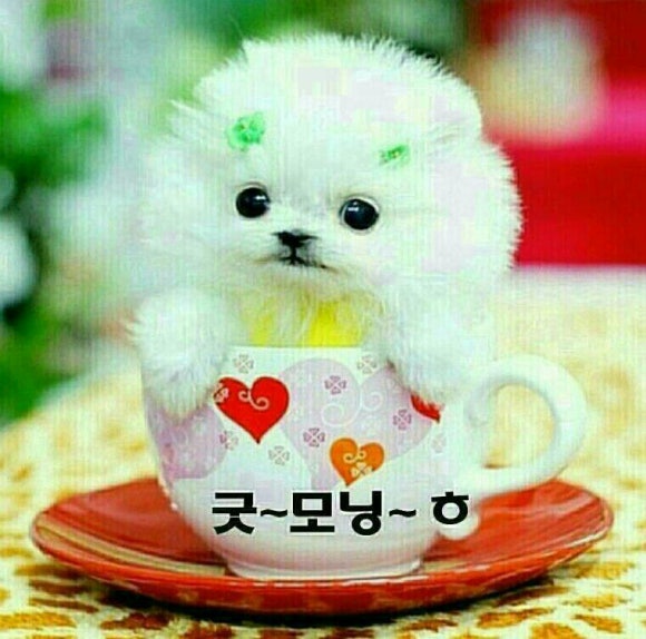 촌놈 이미지