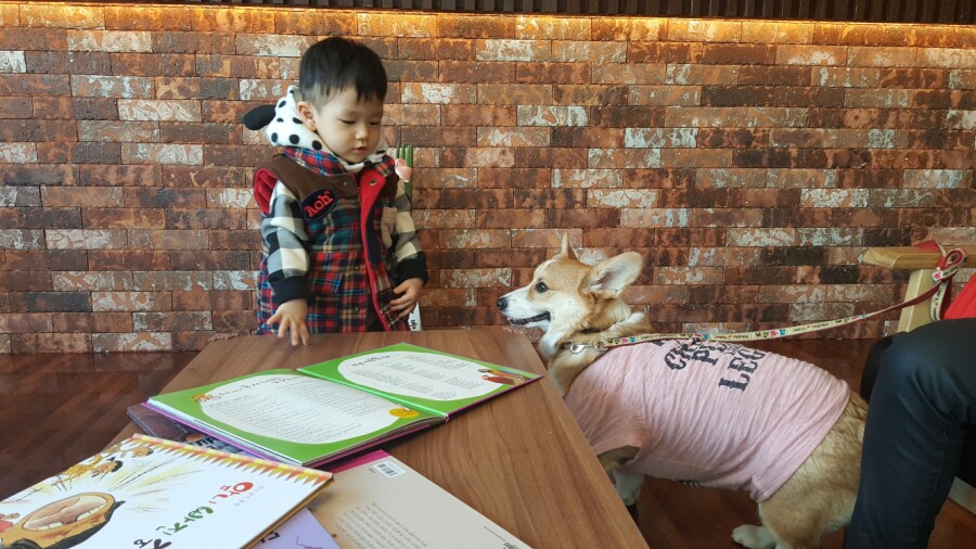 라보떼헤어샵 이미지