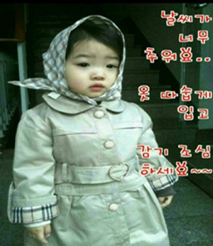 챠오차이 이미지