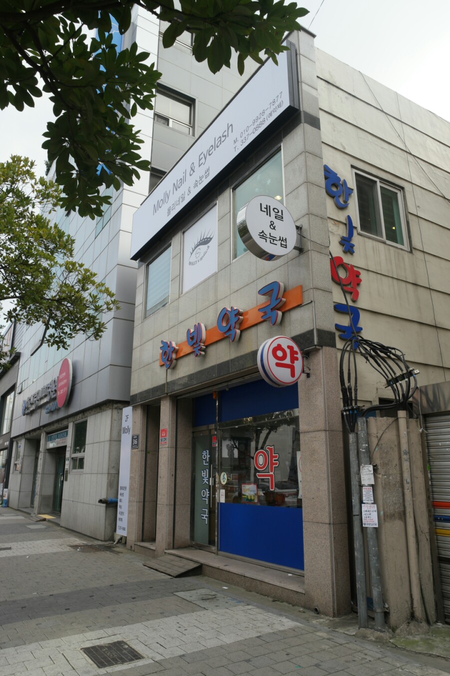 몰리네일 이미지