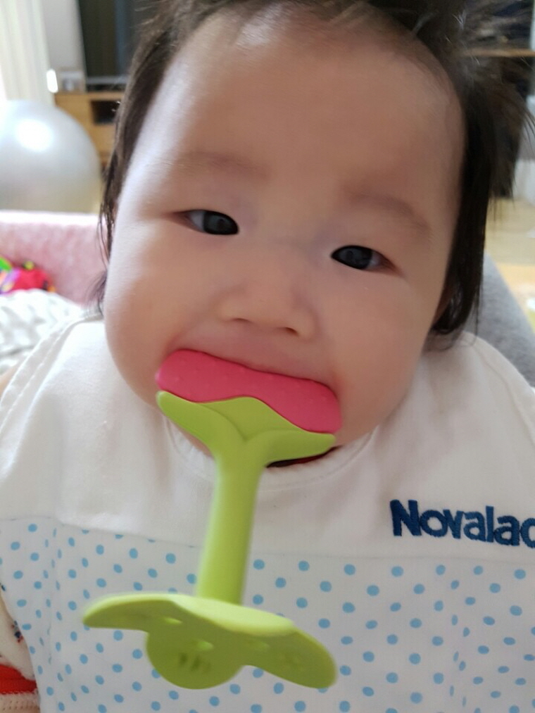 반땅 이미지