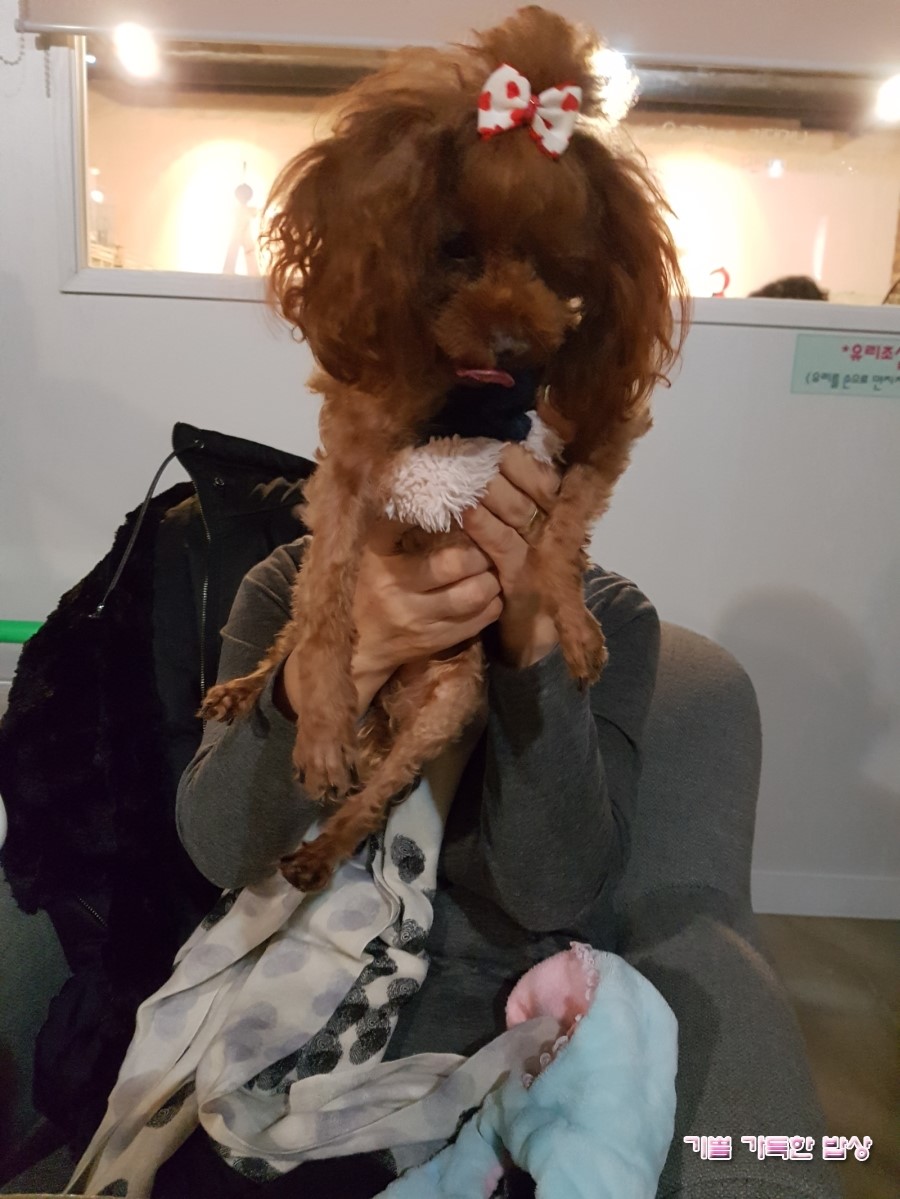 은비세탁 이미지