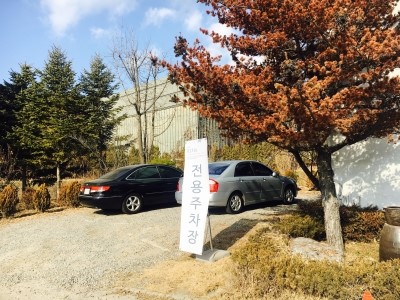 렉스데코헤이리스 이미지