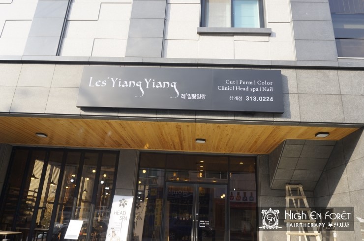 일랑일랑살롱 이미지