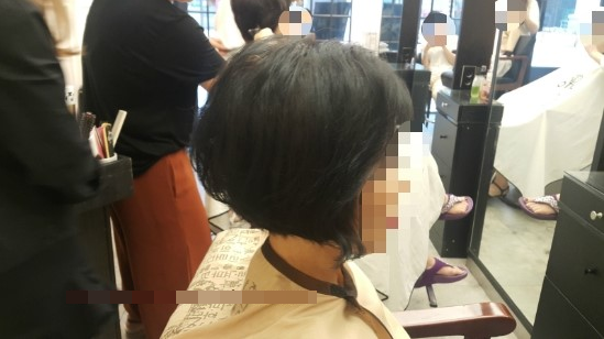 디토헤어 이미지