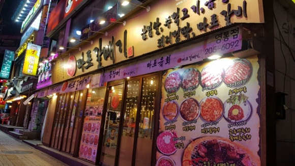 신마포갈매기 사진 8