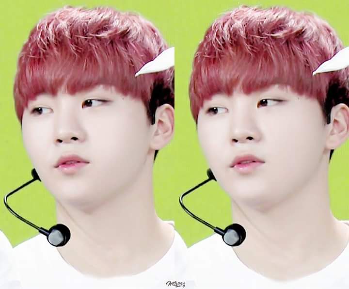 여우아이 이미지