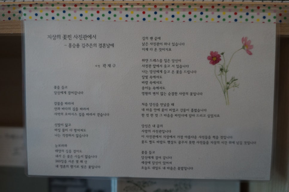 심다(simda) 이미지