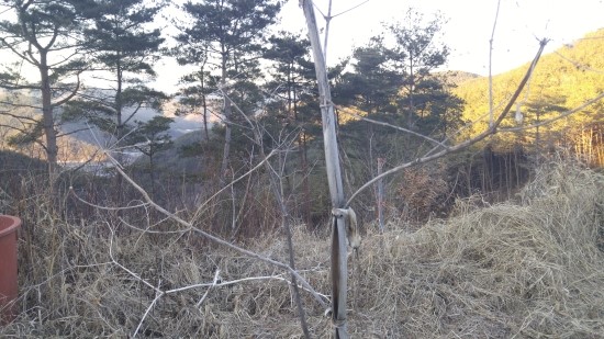 유곡농원 이미지