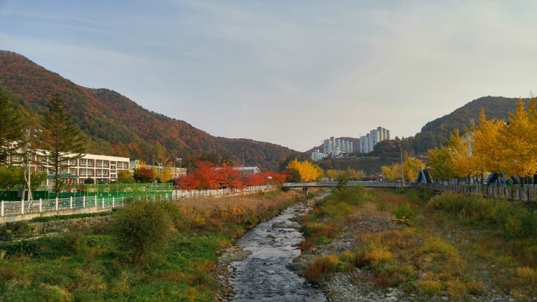 (주)메신저 투어 이미지