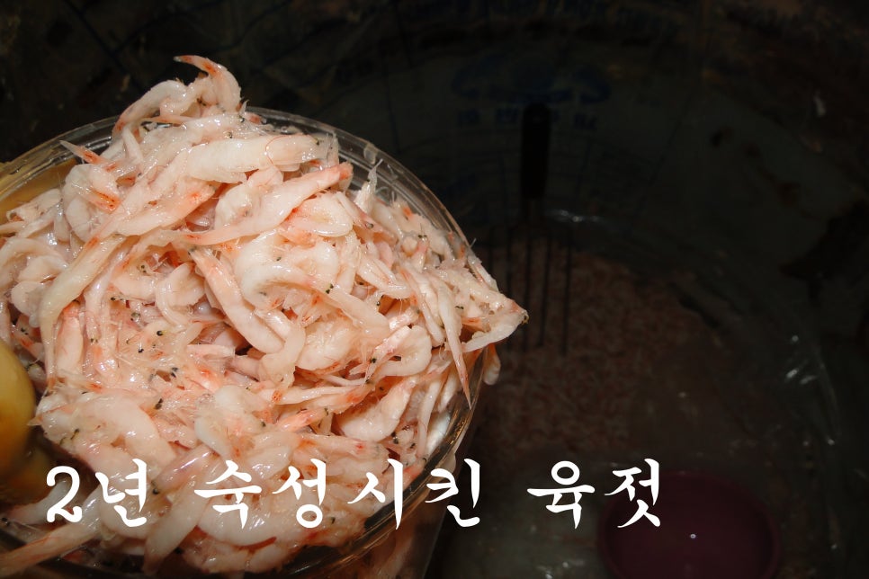 갈릴리토굴새우젓 이미지