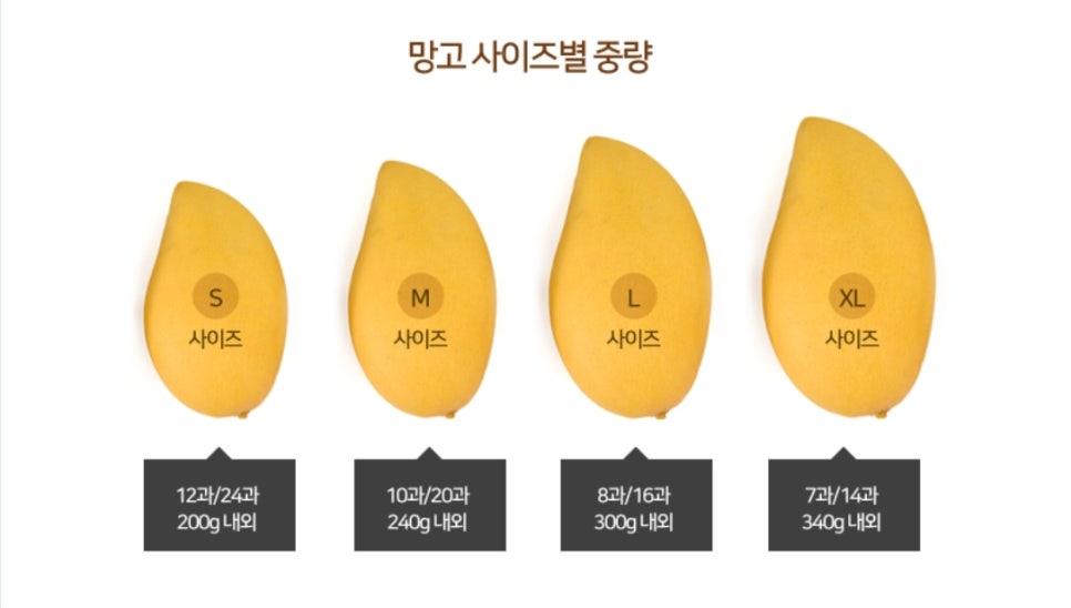 대전진 이미지