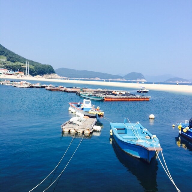 통영집충무김밥 이미지