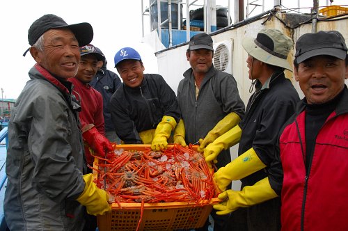 속초대게축제 이미지
