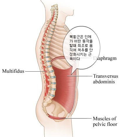 나눔케어피트니스 이미지