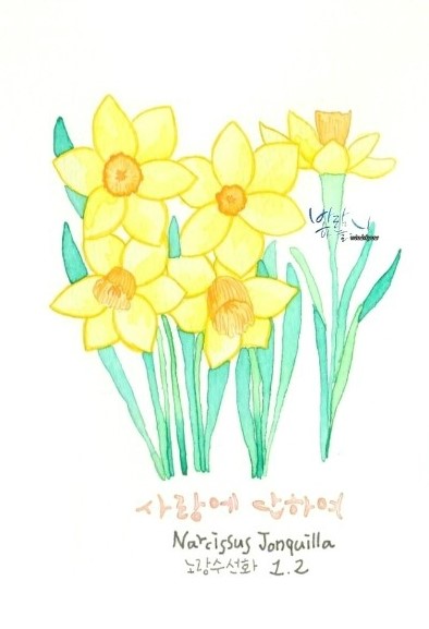 하루꽃 이미지