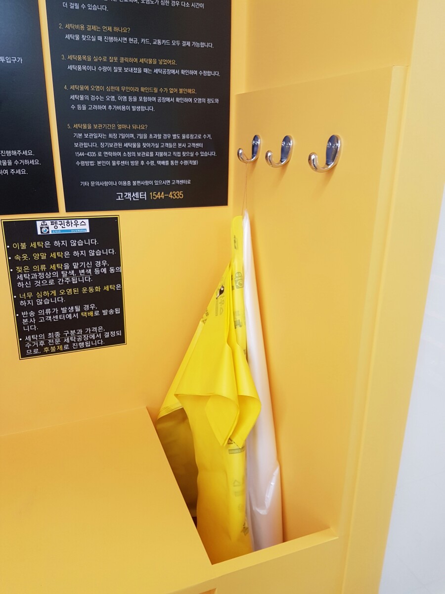 펭귄세탁 이미지