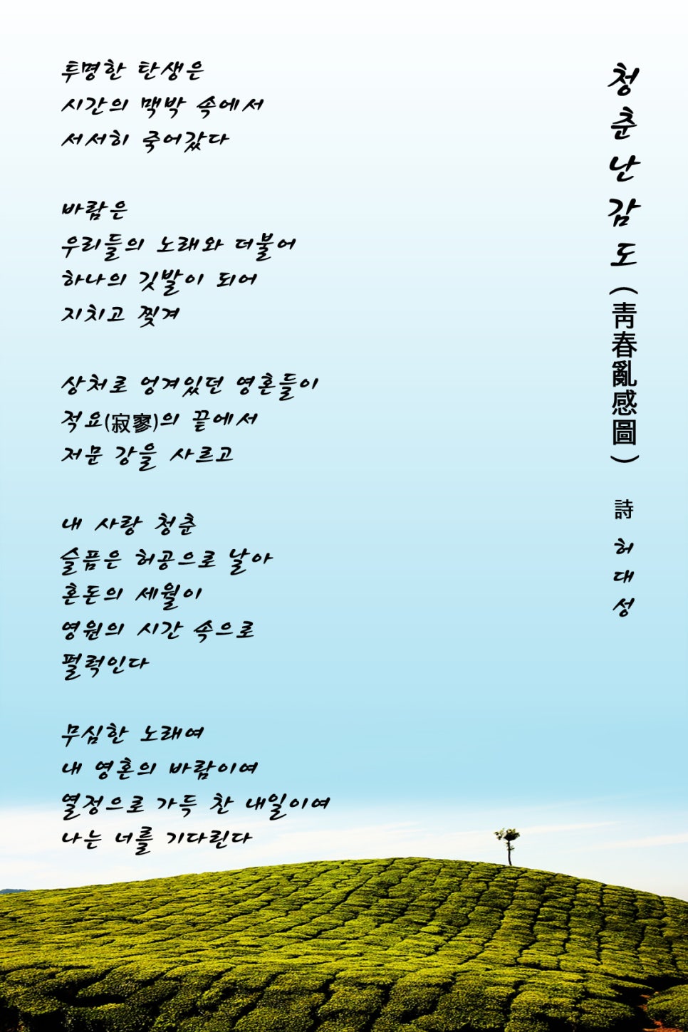 풀빛소리 이미지