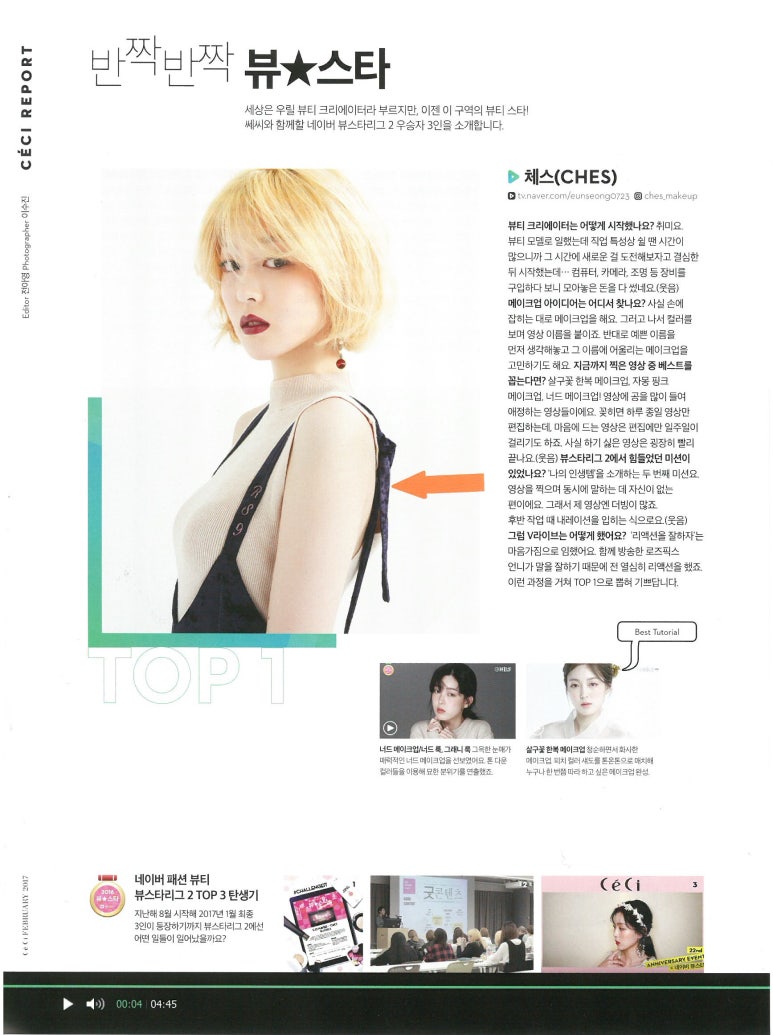 체스(CHES) 이미지