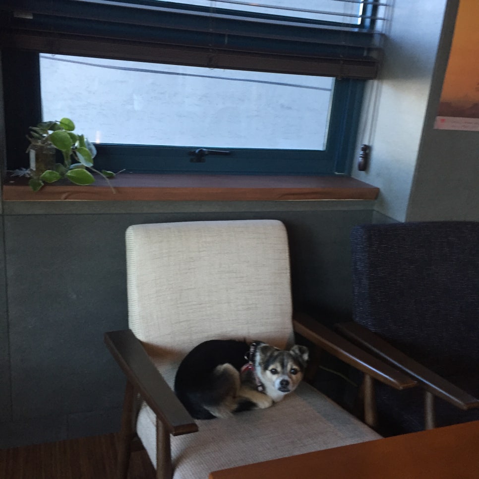 카페이층 이미지