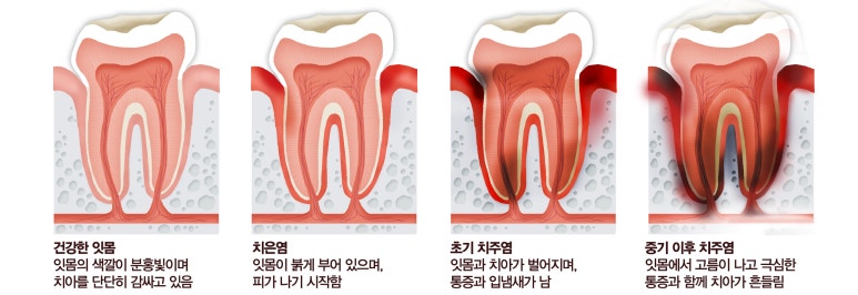 옥련서울치과 이미지