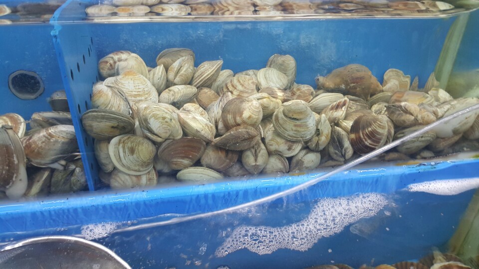 충무수산 이미지